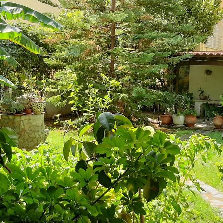 Lovely House Афины Экстерьер фото