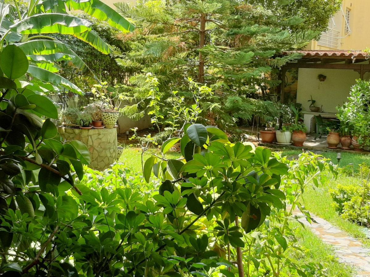 Lovely House Афины Экстерьер фото